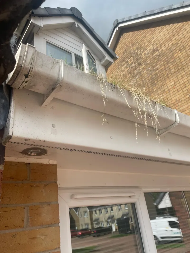 White gutter exterior, fascia and soffit with visible dirt and staining