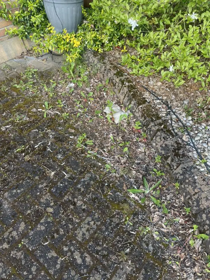 Herringbone Block Patio — before cleaning